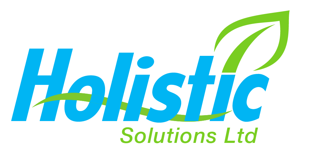Holistic Solutions Logo (HR)